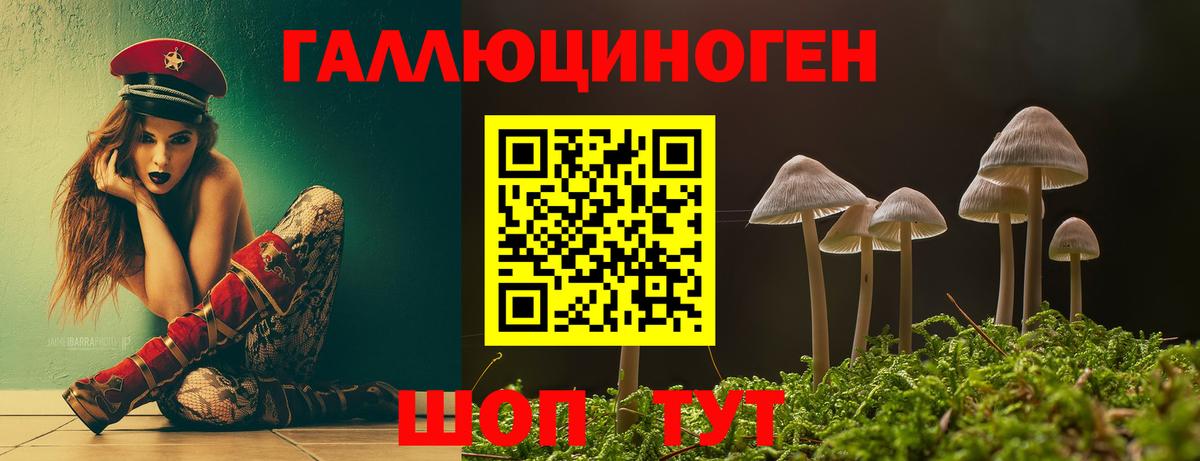 Галлюциногенные грибы прущие грибы  Вход с VPN  Набережные Челны 